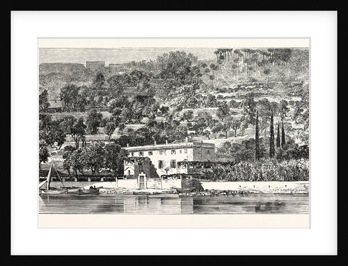 Island of Palmaria Opposite La Spezia by Anonymous