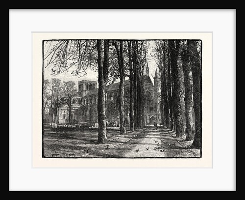 Winchester Cathedral by Anonymous