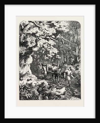 William's Corpse Borne to Its Burial by Anonymous