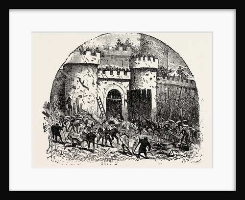 Siege by Anonymous