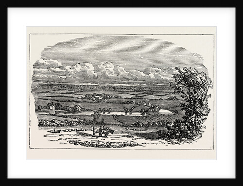Runnymede by Anonymous