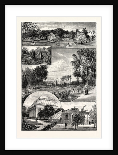 Edinburgh: The Royal Botanic Gardens by Anonymous
