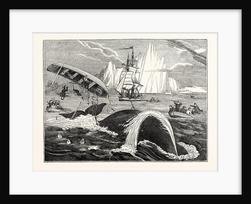 Dangers of the Whale Fishery by Anonymous