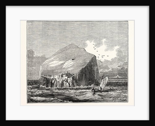 View of the Bass Rock which Lies at the Mouth of the Frith of Forth at the Distance of About a Mile and a Half from the Coast of East Lothian. by Anonymous