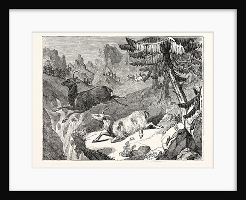 Hunting the Chamois by Anonymous