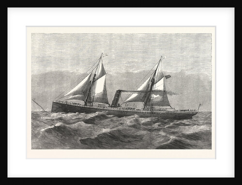 New Steam-Ship Newport, Ward's Havana Line by Anonymous