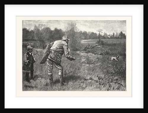 Gun Shy Drawn A. B. Frost by Anonymous