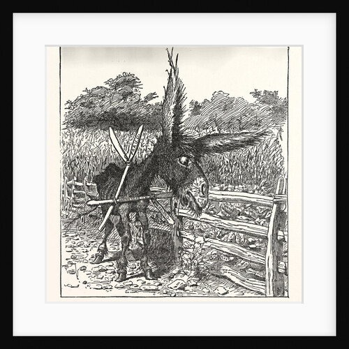 Hungry Democracy the Greatest Faster Record by Anonymous