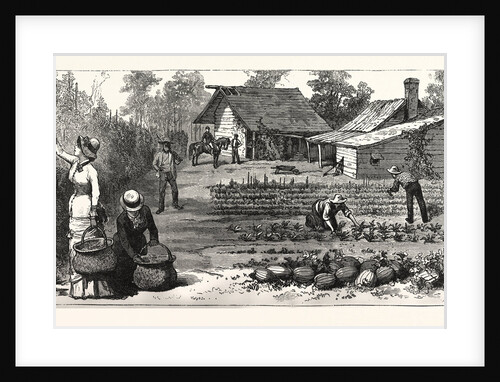 English Garden. Scenes Rugby, the English Colony Tennessee by Anonymous