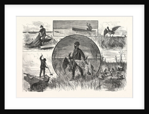 Cruelties Practised on Fish and Fowl by Anonymous