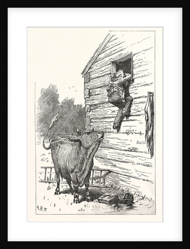 Hold Cried the Doctor by Anonymous