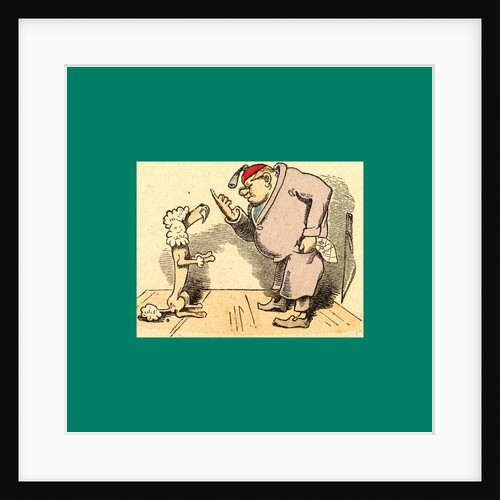 Schnaken and Schnurren, 1866, Mosquitoes and Purring by Anonymous