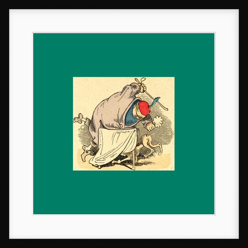 Schnaken and Schnurren, 1866, Mosquitoes and Purring by Anonymous