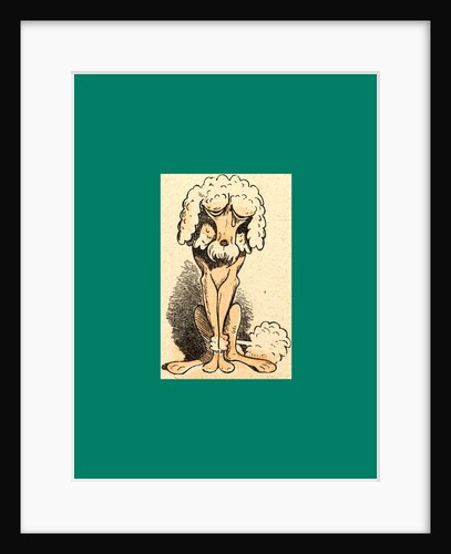 Schnaken and Schnurren, 1866, Mosquitoes and Purring by Anonymous