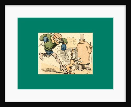 Schnaken and Schnurren, 1866, Mosquitoes and Purring by Anonymous