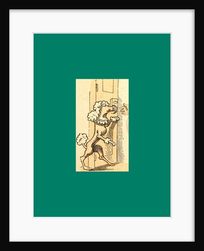 Schnaken and Schnurren, 1866, Mosquitoes and Purring by Anonymous