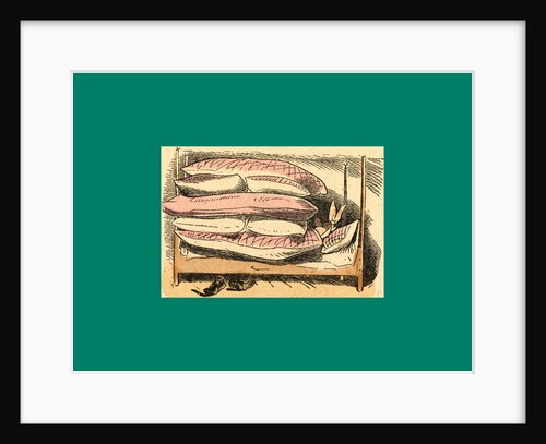 Schnaken and Schnurren, 1866, Mosquitoes and Purring by Anonymous