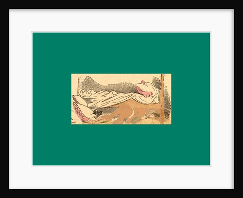 Schnaken and Schnurren, 1866, Mosquitoes and Purring by Anonymous