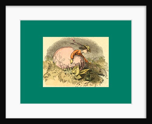 Schnaken and Schnurren, 1866, Mosquitoes and Purring by Anonymous