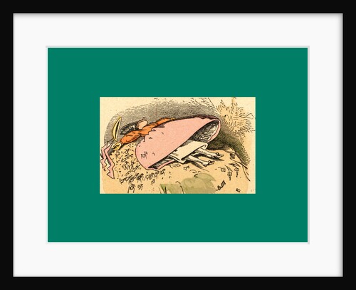 Schnaken and Schnurren, 1866, Mosquitoes and Purring by Anonymous