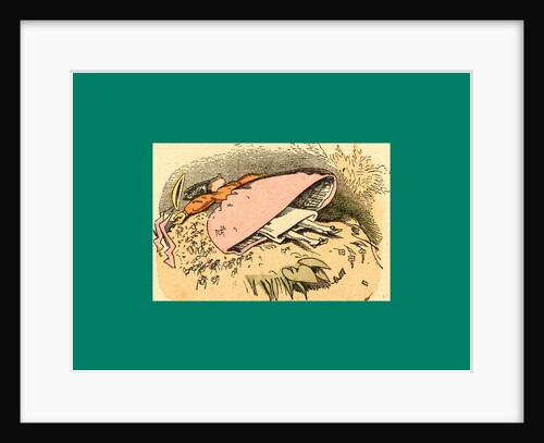 Schnaken and Schnurren, 1866, Mosquitoes and Purring by Anonymous