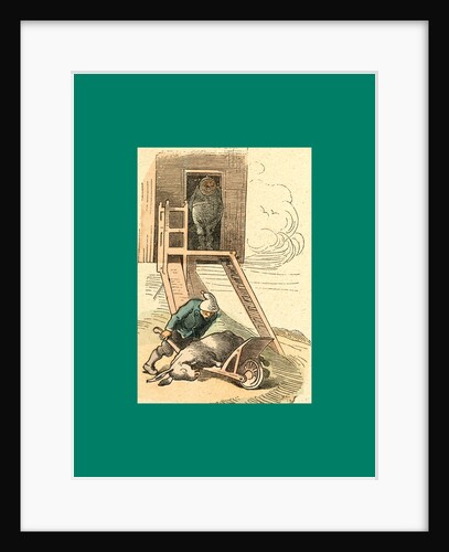 Schnaken and Schnurren, 1866, Mosquitoes and Purring by Anonymous