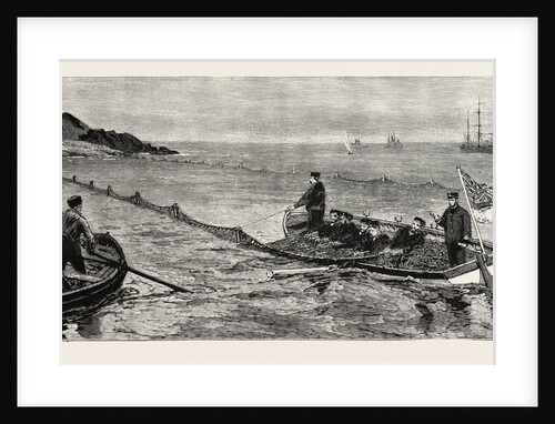 The Newfoundland Fisheries Question: British Man of War Removing and Confiscating Newfoundland Salmon Net, Leaving French Net Untouched, Canada by Anonymous
