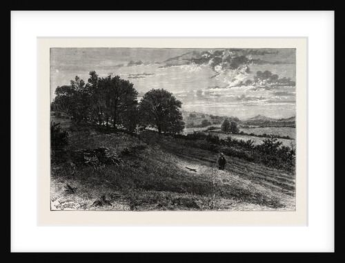 Near Evershed's Rough, Scene of the Fatal Accident to the Lord Bishop of Winchester by Anonymous