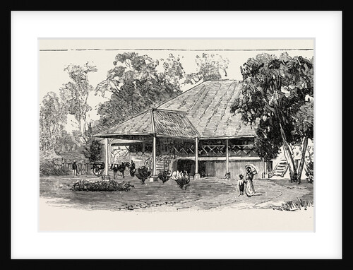The Cultivation of Tobacco in Sumatra, Indonesia: A Planter's House by Anonymous