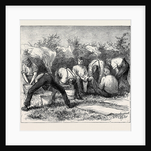 Sketches at the Autumn Manoeuvres: Saturday Night in Camp by Anonymous