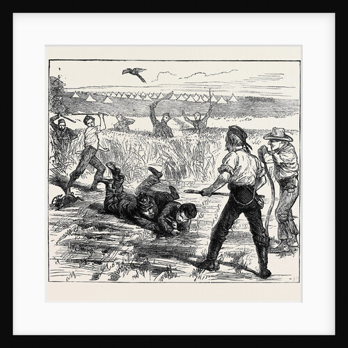 Sketches at the Autumn Manoeuvres: First Blood by Anonymous
