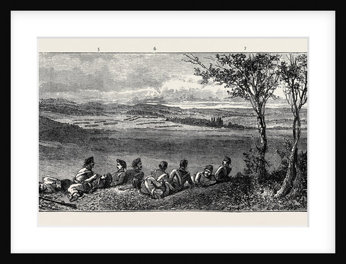 The Autumn Manoeuvres: Sir Alfred Horsford's Left on Launceston Heath Down by Anonymous