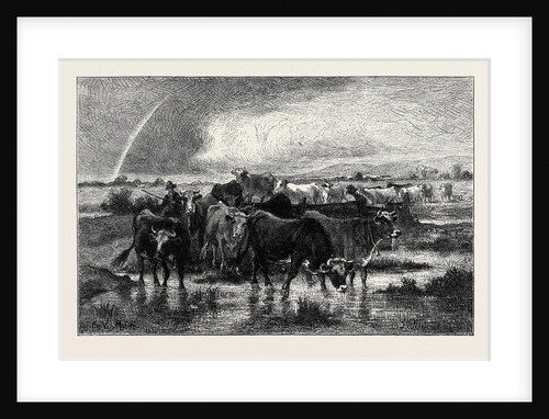 A Village Herd of Cattle in Normandy by Anonymous