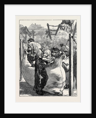 Sketches at a Northampton Wool Fair: Filling the Bales by Anonymous