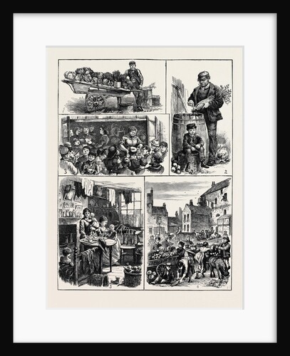 The Street Vendors' Question, Life in Golden Lane by Anonymous