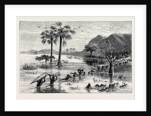How I Found Livingstone: Discomforts of African Travel: The Makata Swamp by Anonymous