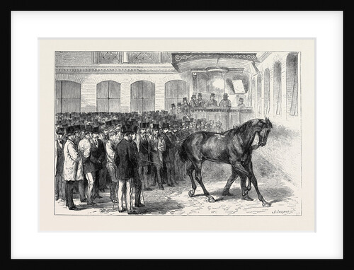 Sale of the Horses of the Tenth Hussars at Tattersall's: Crusader Under the Hammer by Anonymous
