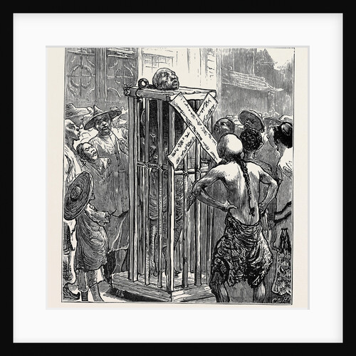 Life in China: Death in the Cage by Anonymous