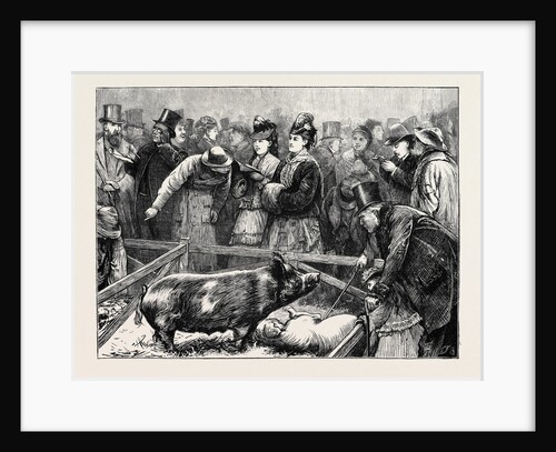 Visitors at the Cattle Show: A Pig Pen by Anonymous
