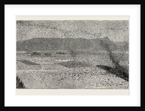 The Locust Plague in Northern India: Villagers Driving a Flight of Locusts from the Crops by Anonymous