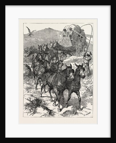 Lord R. Churchill in South Africa: Swinging, Bounding, Jolting, Creaking, Straining, Over This Extraordinary Route the Coach Pursues the Uneven Tenour of Its Way by Anonymous