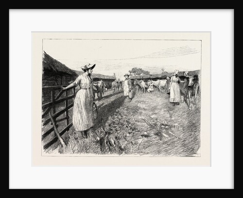Tess of the D'Urbervilles: Tess in Dairyman Dick's Yard by Anonymous