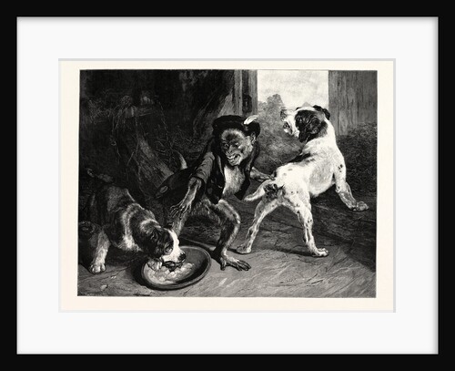 The Intruding Puppies by Anonymous