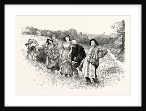 Tess of the D'Urbervilles: This Here Stooping Do Fairly Make My Back Open and Shut, Exclaimed the Dairyman by Anonymous
