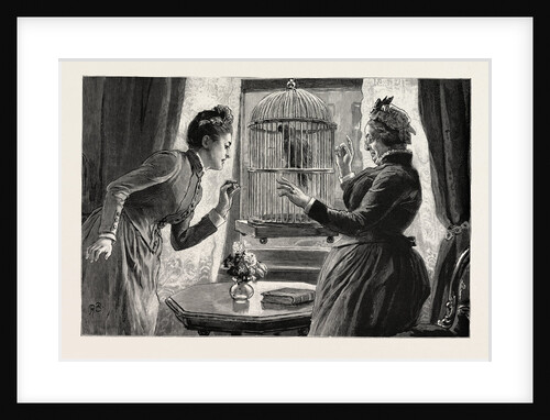 The Parrot and the Cabbies, an Incident at a Seaside Holiday Resort: The Cause (the Parrot Has Taught Itself the Cab Whistle) by Anonymous