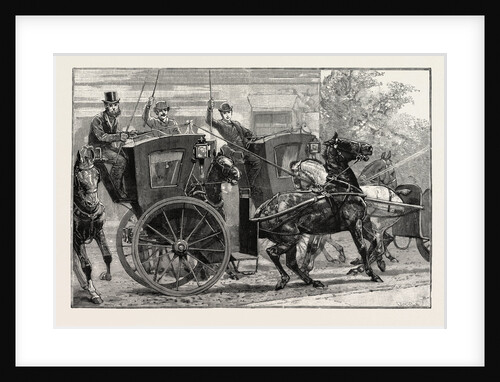 The Parrot and the Cabbies an Incident at a Seaside Holiday Resort: The Effect of a Parrot Making the Noise of a Cab Whistle This Sort of Thing Occurs at Intervals of Half-an-Hour by Anonymous