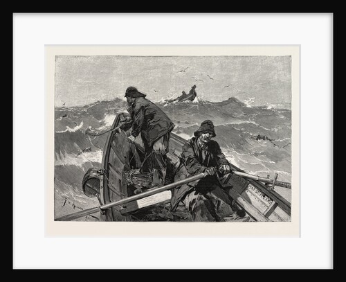 The Newfoundland Cod Fishery: Fishing for Cod from a Doris or Flat-Bottomed Boat by Anonymous