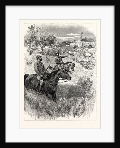Lord Randolph Churchill in South Africa: A Meeting with a Troop of Lions by Anonymous