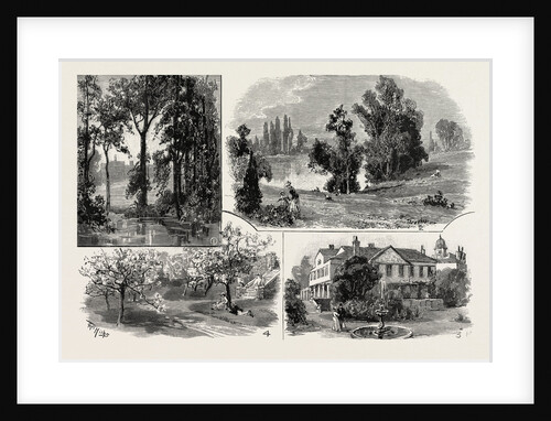 Sketches in Waterlow Park, which Has Been Presented to the Public by Sir Sydney Waterlow by Anonymous