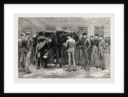 Free-Practice Sounding His Lungs by Anonymous